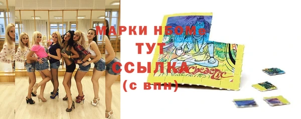 тгк Аркадак
