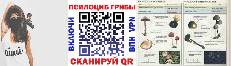 где можно купить Мантурово Псилоцибиновые грибы мухоморы